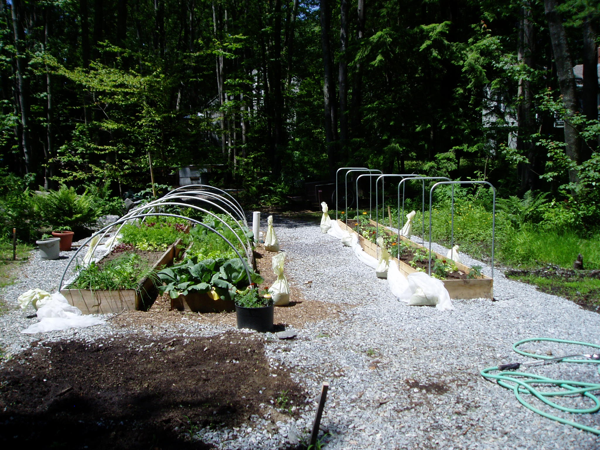 Hoop House